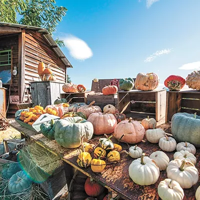 The farm opens to the public twice a week through October.
