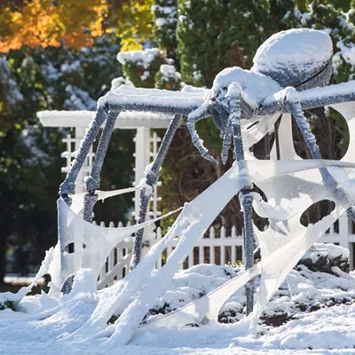 Fluffy, a terrifying giant yard spider, guards the treasure of Browne's Addition in this 2019 photo.