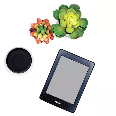 A book purist finally succumbs to the allure of the e-reader