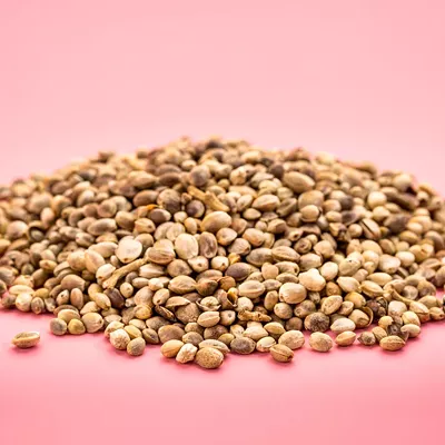 Start your day right with some hemp seeds