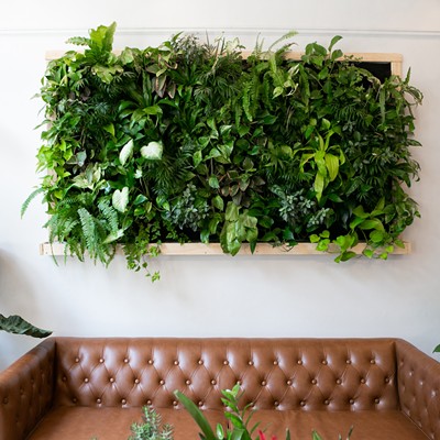 Invite nature into your home by creating a verdant "living wall" display