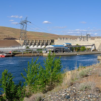 Debate over the lower Snake River dams' removal has gone on for decades. What will it take to protect the river's health?