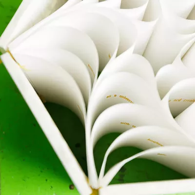 Enter the extraordinary world of book arts and meet local artists behind the movement