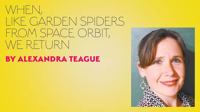 When, Like Garden Spiders from Space Orbit, We Return - Vimarsana News