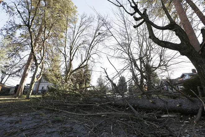 Scenes around Spokane during the Jan. 13, 2021 windstorm Spokane