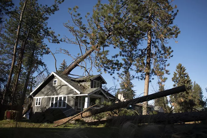 Scenes around Spokane during the Jan. 13, 2021 windstorm Spokane