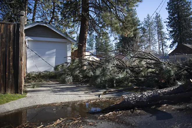 Scenes around Spokane during the Jan. 13, 2021 windstorm Spokane