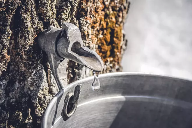 A North Idaho couple creates and shares their love of maple syrup at Athol Orchards farm - Vimarsana News