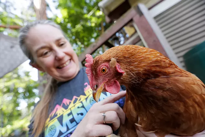With backyard chickens, a pet can produce love, life lessons — and breakfast - Vimarsana News
