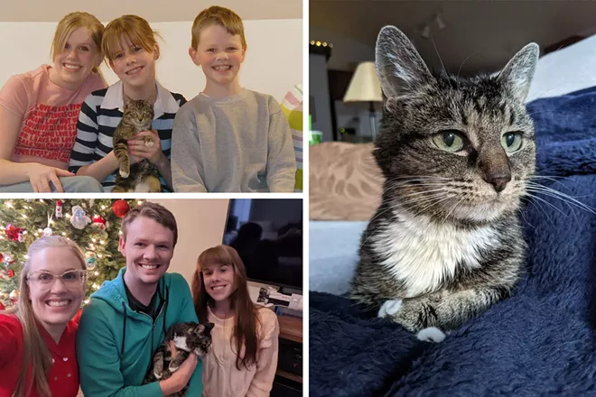 Saying goodbye to a pet is agonizing, but we can honor their legacy by loving others - Vimarsana News
