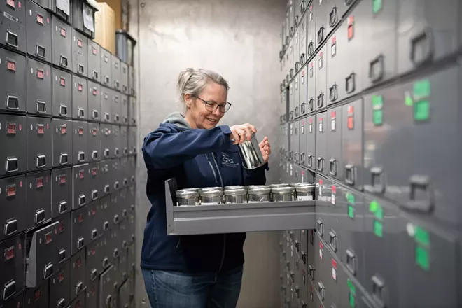 Seed banks around the world guard against the perils of industrialized farming and disasters. One of the most diverse banks in the U.S. can be found on the Palouse - Vimarsana News