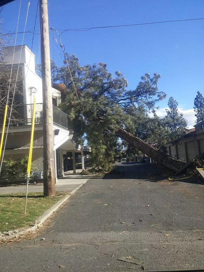 City Council gets progress update addressing aftermath of windstorm