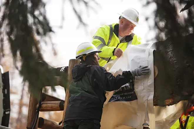 U.S. Forest Service employee Cally Davidson, left, and Pend Oreille County Public Works employee Bernie Nelson place a bag on the base of the tree. - YOUNG KWAK