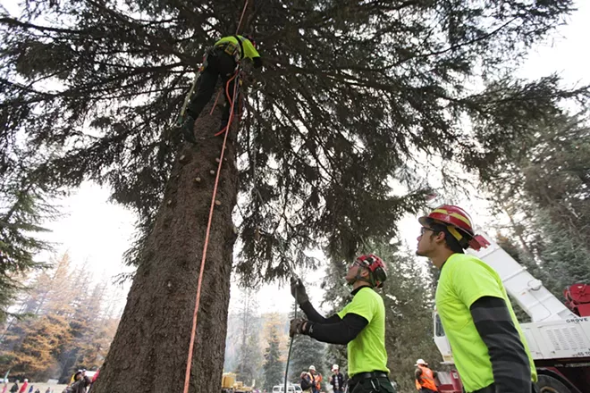 U.S. Forest Service employees Alex Jess, center, and Michael Rude hand Jim Beckwith a saw. - YOUNG KWAK