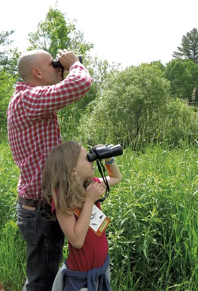 COURTESY OF AUDUBON VERMONT