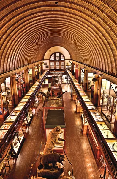 Fairbanks Museum & Planetarium