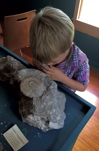 Goodsell Ridge Fossil Preserve