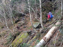 Tristan, Elise and Odin navigate one of several stream crossings while climbing Mt. Mansfield - SARAH GALBRAITH