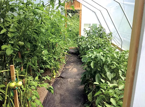 The greenhouse in warmer months. - COURTESY OF THE ZEILENGA FAMILY