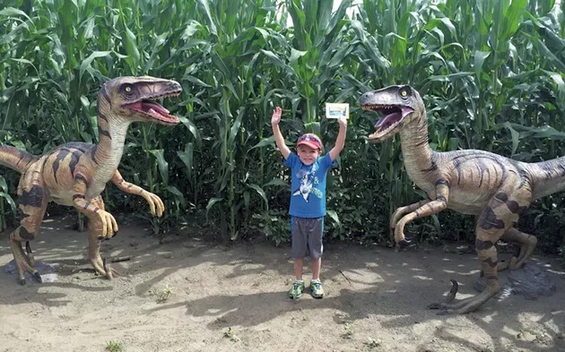 Inside the Great Vermont Corn Maze - COURTESY OF GREAT VERMONT CORN MAZE