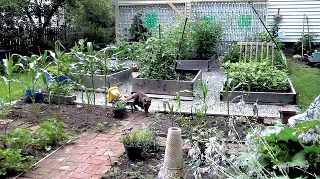 Greenhouse frames in progress