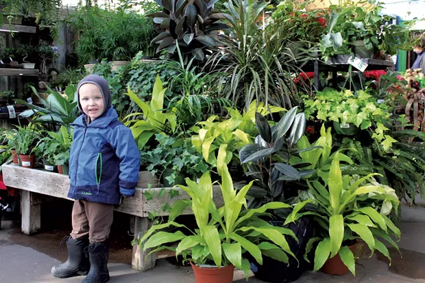 Russ in the greenhouse - KATIE TITTERTON