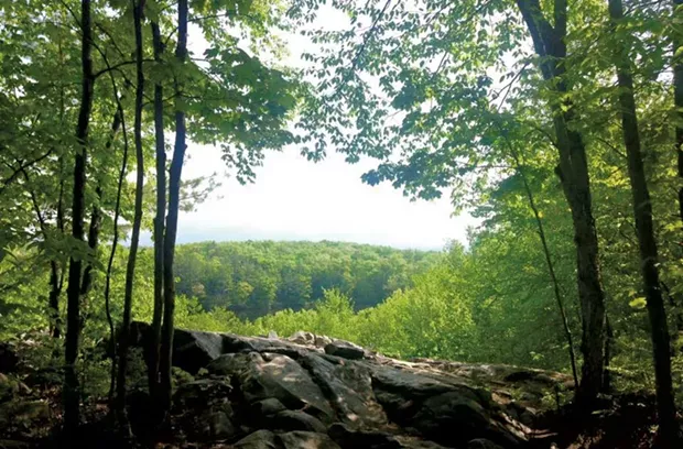 Pine Hill Park - COURTESY IMAGE