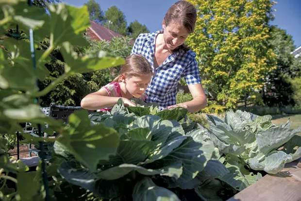Stacy and Mavis inspect cabbage. - JAMES BUCK