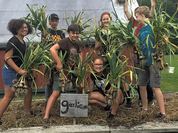 Food, Farm, and Society students celebrate the garlic harvest in Montpelier - COURTESY OF TOM SABO