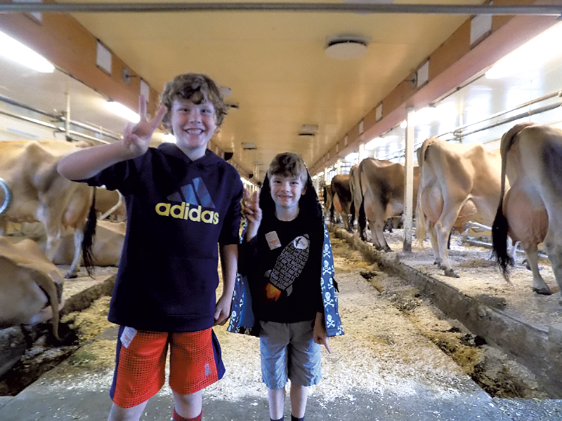 Leo and Felix at Billings Farm - BENJAMIN ROESCH