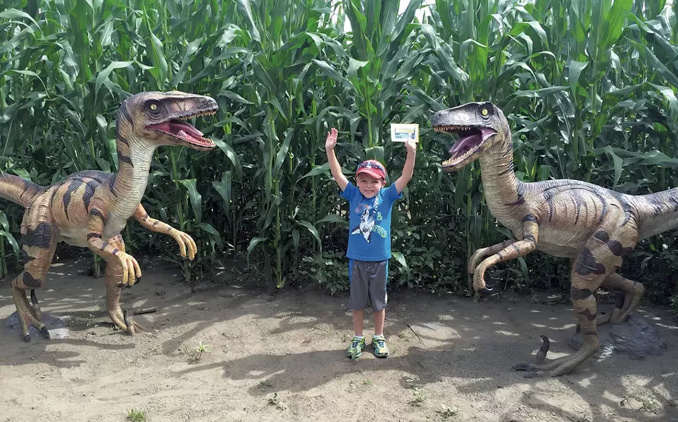 Inside the Great Vermont Corn Maze - COURTESY OF GREAT VERMONT CORN MAZE