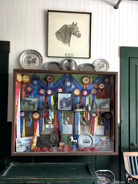 Ribbons inside the barn - SARAH TUFF DUNN