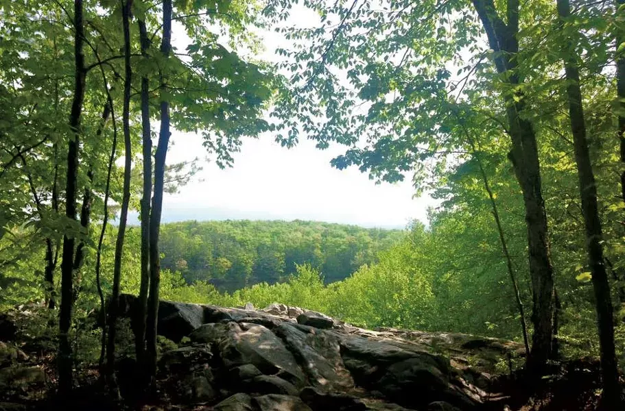 Pine Hill Park - COURTESY IMAGE