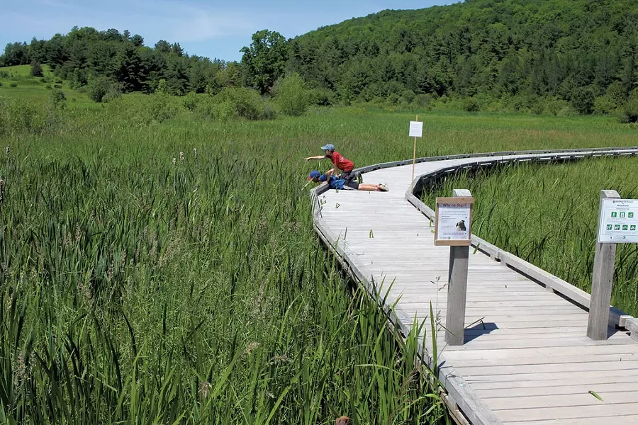 Jesse and Noah explore the wetlands from the boardwalk - HEATHER FITZGERALD