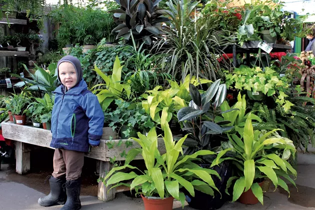 Destination Recreation Gardener S Supply Company