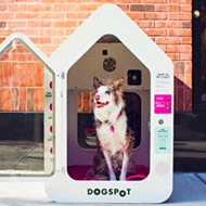 You can now keep your dog inside an air-conditioned chamber in Ferndale
