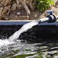 Most libertarian country