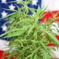 Historic vote to decriminalize marijuana in the House is postponed as moderates pump the brakes