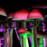 Ann Arbor has decriminalized psychedelic mushrooms and plants