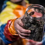 The number of marijuana jobs in Michigan doubled in 2020, according to Leafly