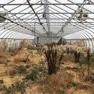 Can Detroit&rsquo;s RecoveryPark recover?