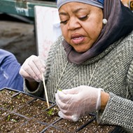 Why it’s important for black farmers to take the lead on Detroit’s urban farms