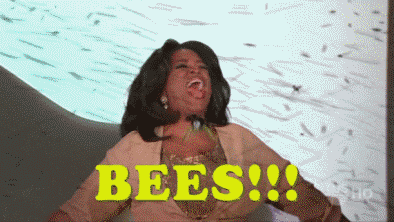 Bee Fest Returns To Belle Isle Nature Center For National Honey Bee Day The Scene