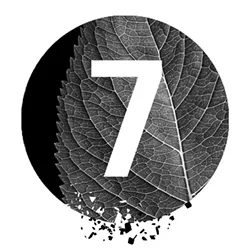 7-pc.jpg