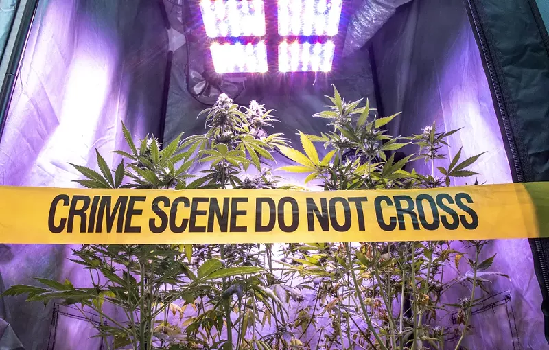 Gov. Whitmer promised to expunge marijuana-related criminal records in Michigan.