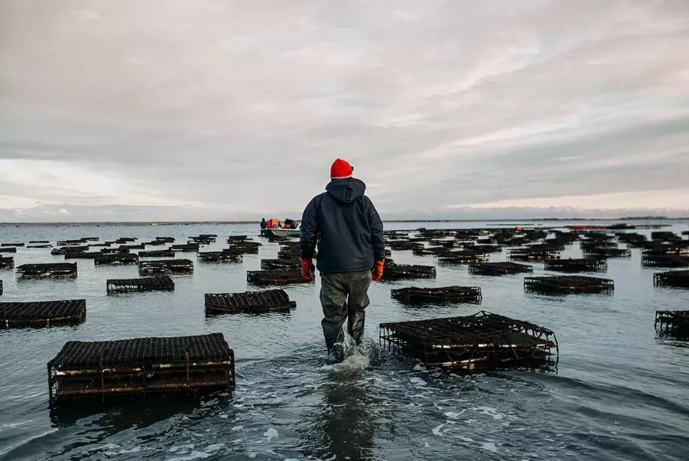 A December sunset at Massachusetts’ Island Creek Oysters. - COURTESY OF ISLAND CREEK OYSTERS