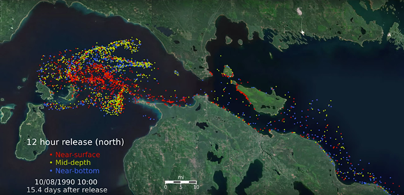Computer simulations commissioned by the NWF show a Straits of Mackinac oil spill could move into Lake Huron or Lake Michigan with almost equal probability. - SCREENGRAB