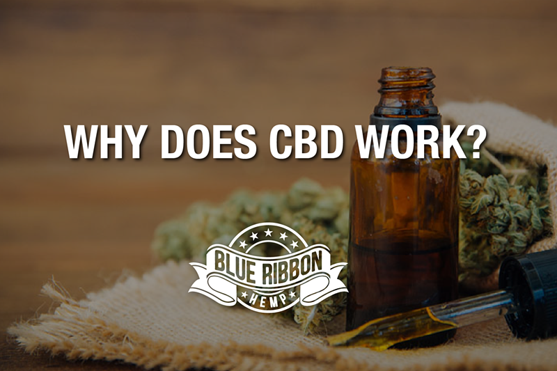 BLUE RIBBON HEMP
