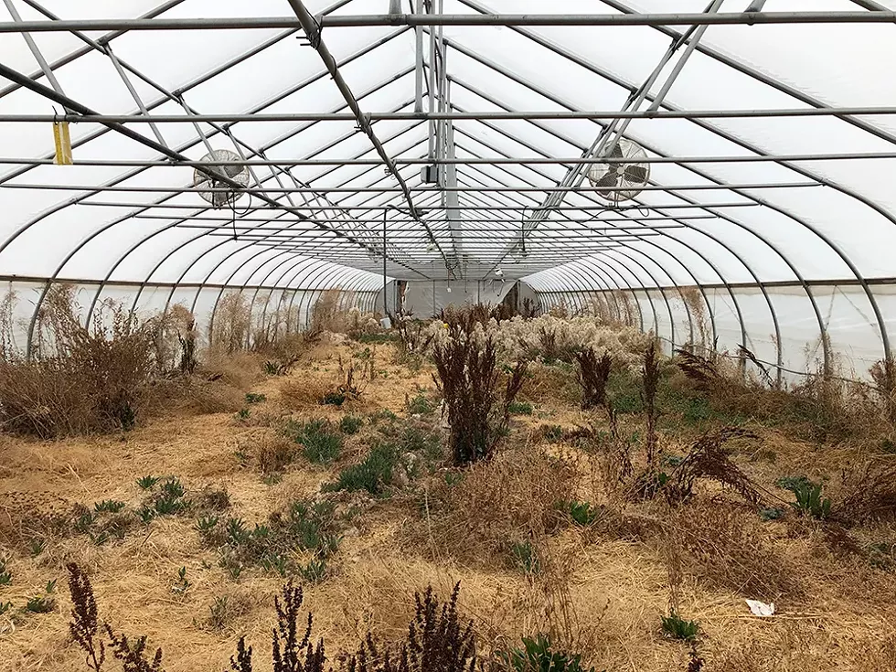 A multimillion-dollar farm that was supposed to provide jobs for people facing employment barriers is now in ruins. Its founder has a checkered past. - LEE DEVITO