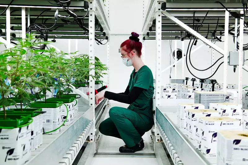 A woman working at Primitiv's facility. - COURTESY OF PRIMITIV